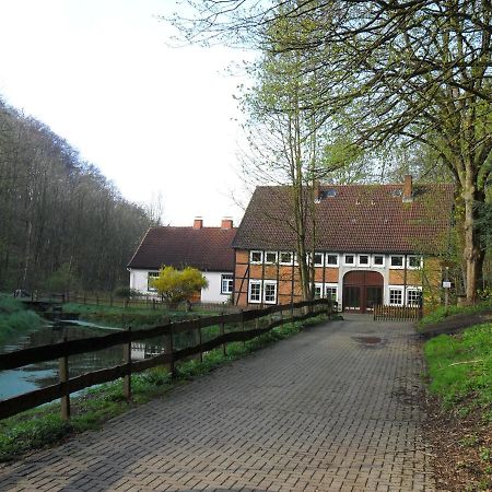 Hoellenmuehle Bed & Breakfast At The Mill Pond Hessisch Oldendorf Dış mekan fotoğraf