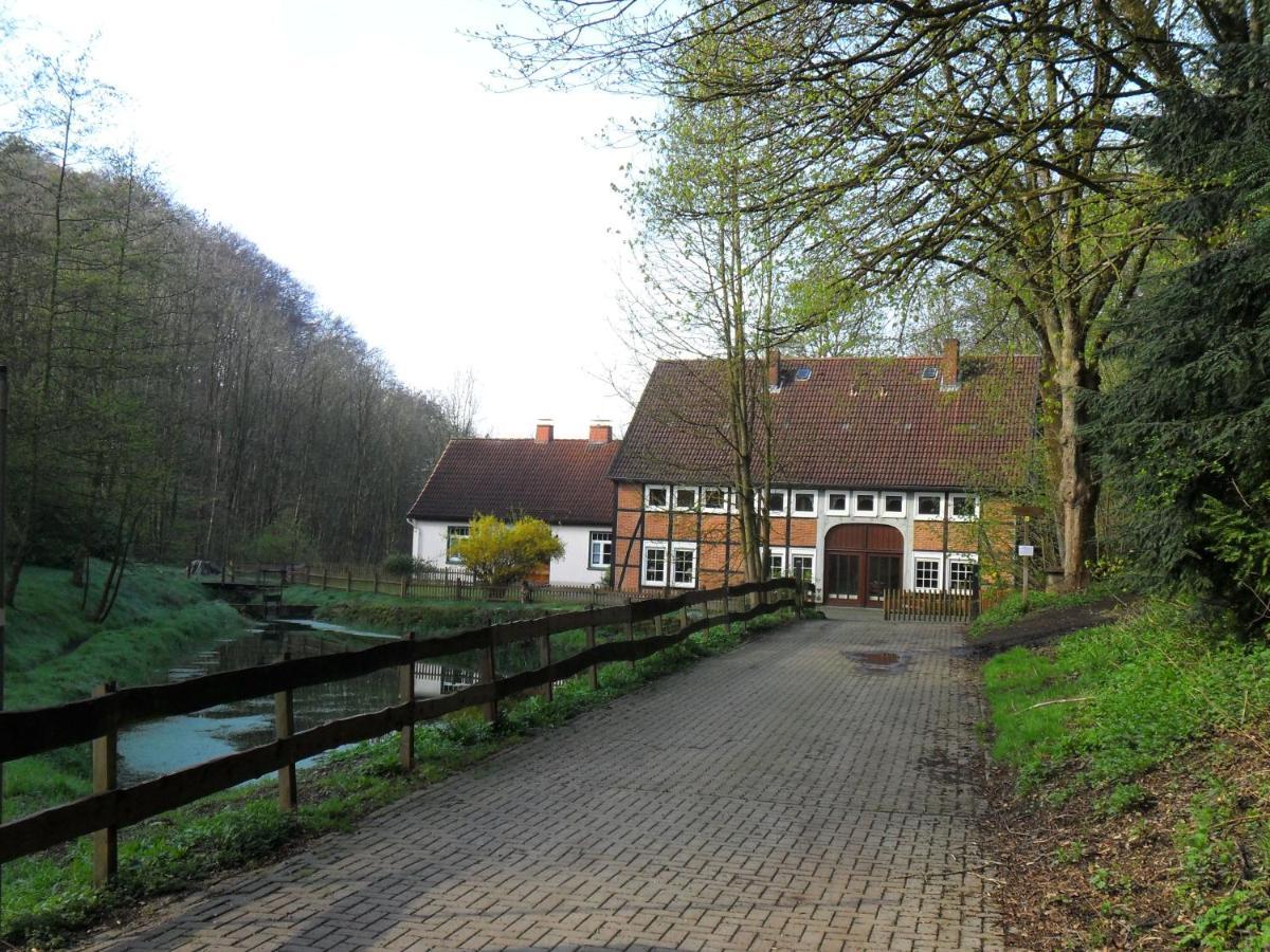 Hoellenmuehle Bed & Breakfast At The Mill Pond Hessisch Oldendorf Dış mekan fotoğraf