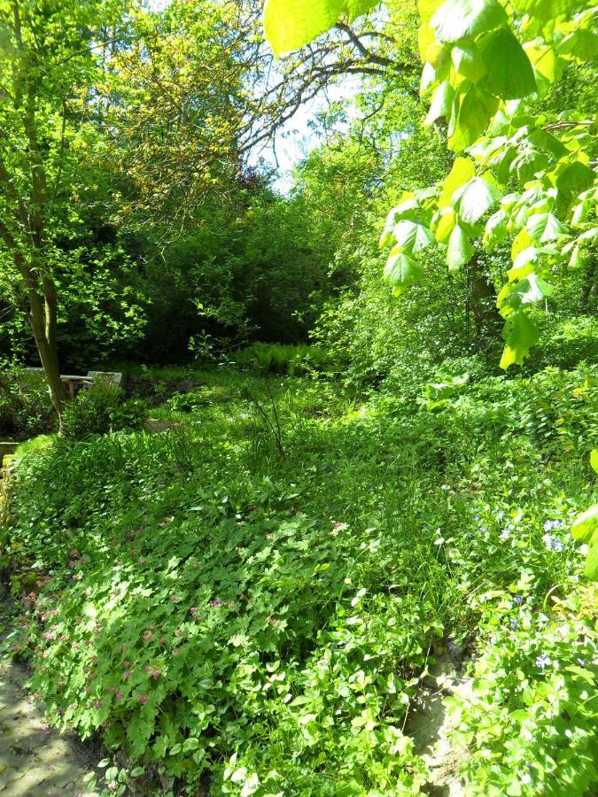 Hoellenmuehle Bed & Breakfast At The Mill Pond Hessisch Oldendorf Dış mekan fotoğraf