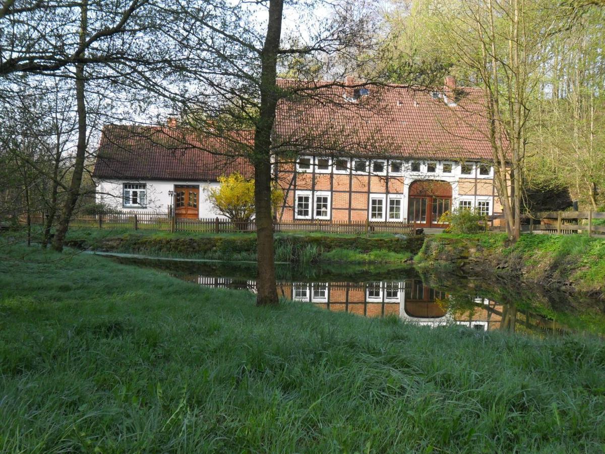 Hoellenmuehle Bed & Breakfast At The Mill Pond Hessisch Oldendorf Dış mekan fotoğraf