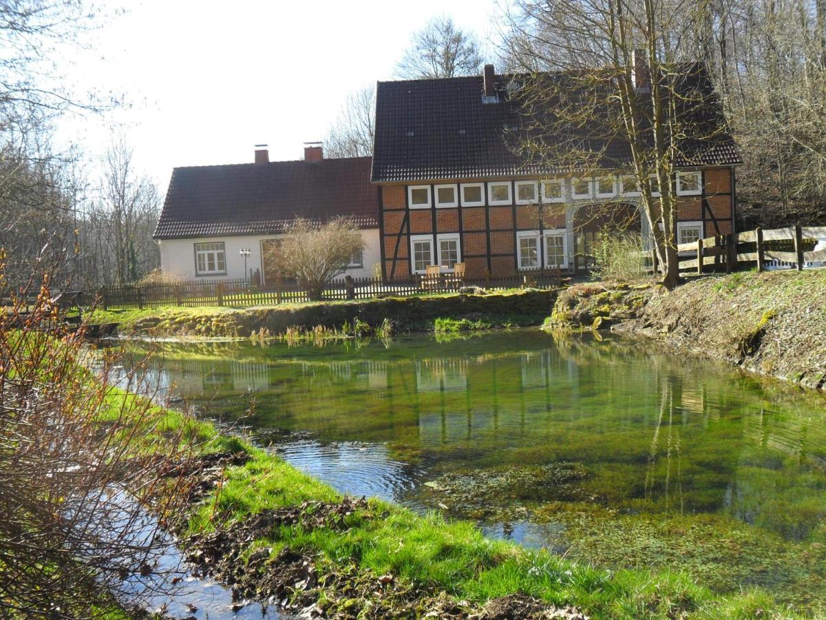 Hoellenmuehle Bed & Breakfast At The Mill Pond Hessisch Oldendorf Dış mekan fotoğraf